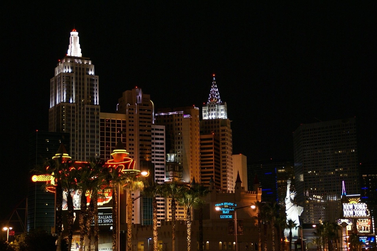 Lit city skyline at night with towers and a waterfront monument